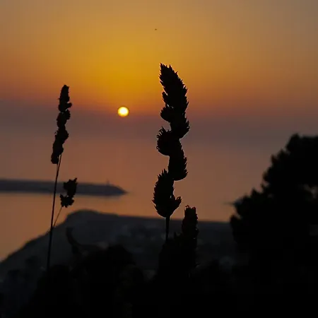 Your Nest In - Ocean View 나자레